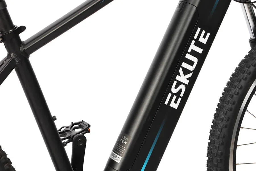 Eskute Netuno