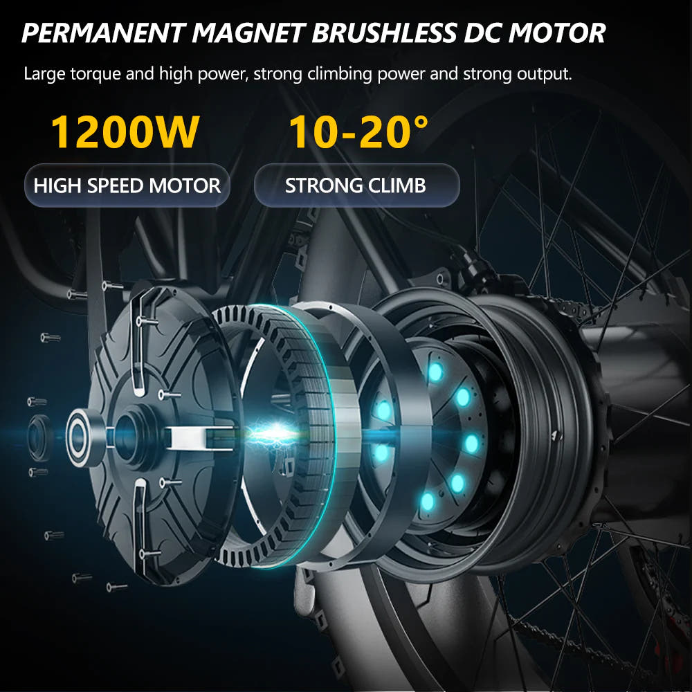 Hidoes B3 Fat Tyre E-Bike-motor specs