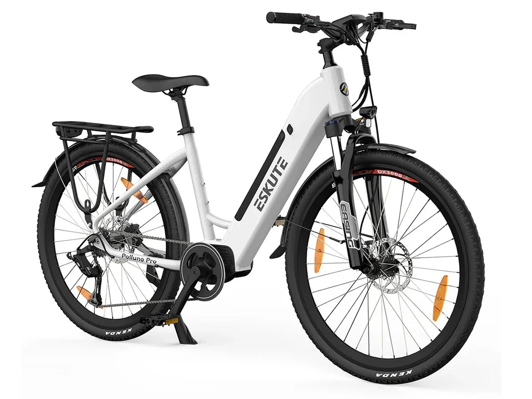 Eskute Polluno Pro