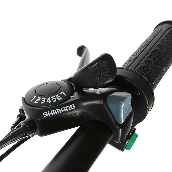 SAMEBIKE 20LVXD30 ll