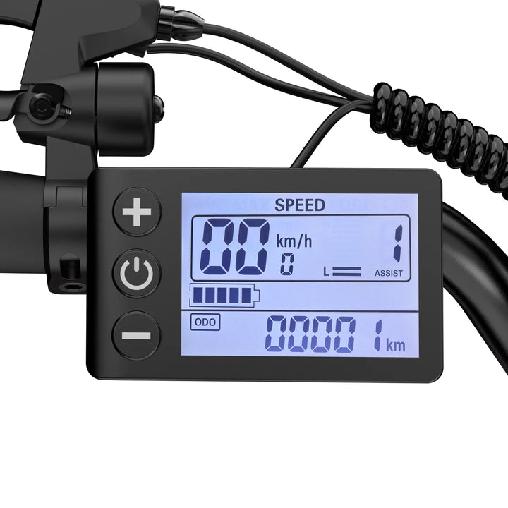 ESKUTE C100 City E-Bike-LCD display