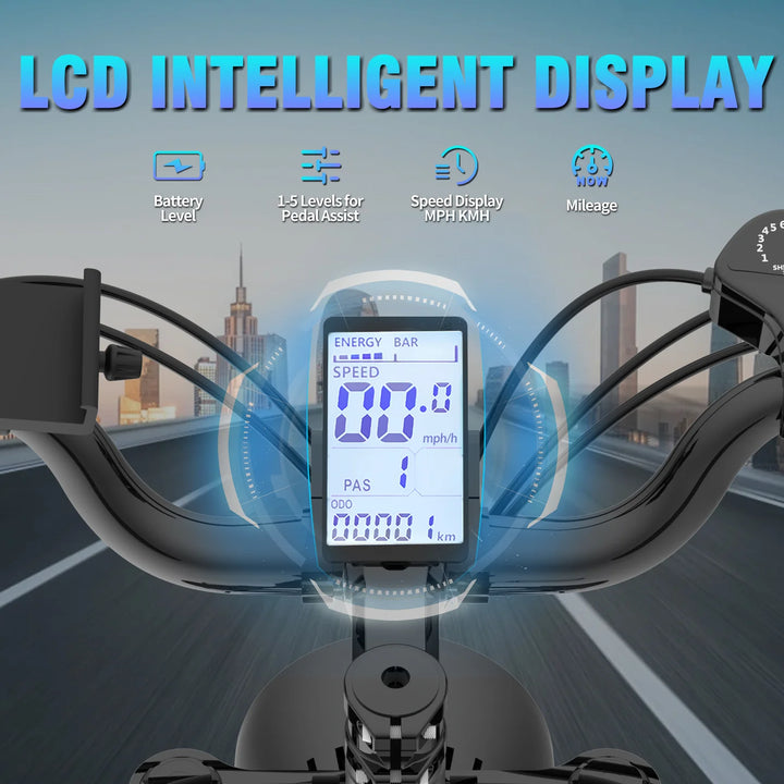 YVY Upgraded C20 Fat Tyre E-Bike-LCD specs