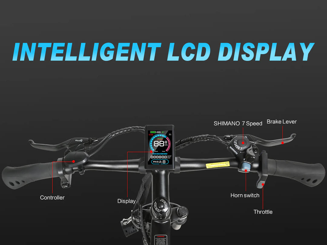 SAMEBIKE EBE2 E-Bike-LCD display view