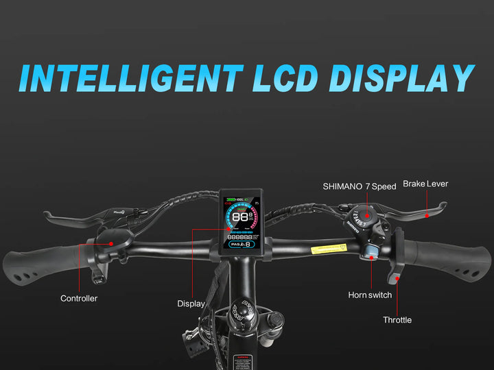 SAMEBIKE EBE2 E-Bike-LCD display view