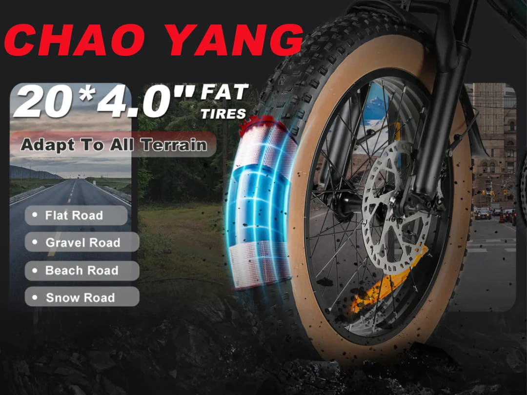 SAMEBIKE XWLX09-II Folding E-Bike in Black-tyre specs