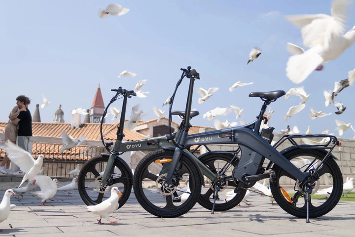 DYU T1 City E-Bike-city backgrounds with birds
