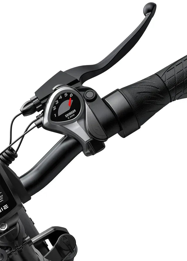 Engwe EP-2 PRO