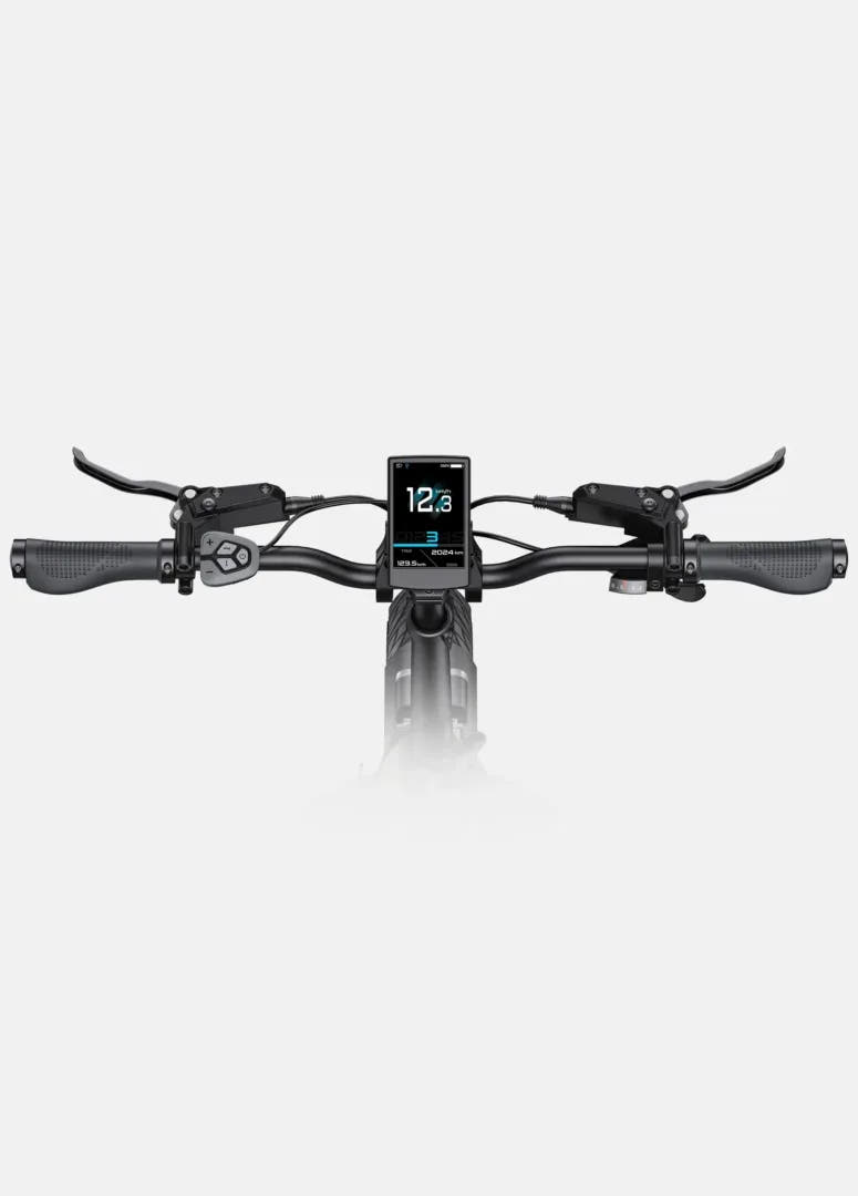 Engwe L20 3.0 Pro City E-Bike-handle view