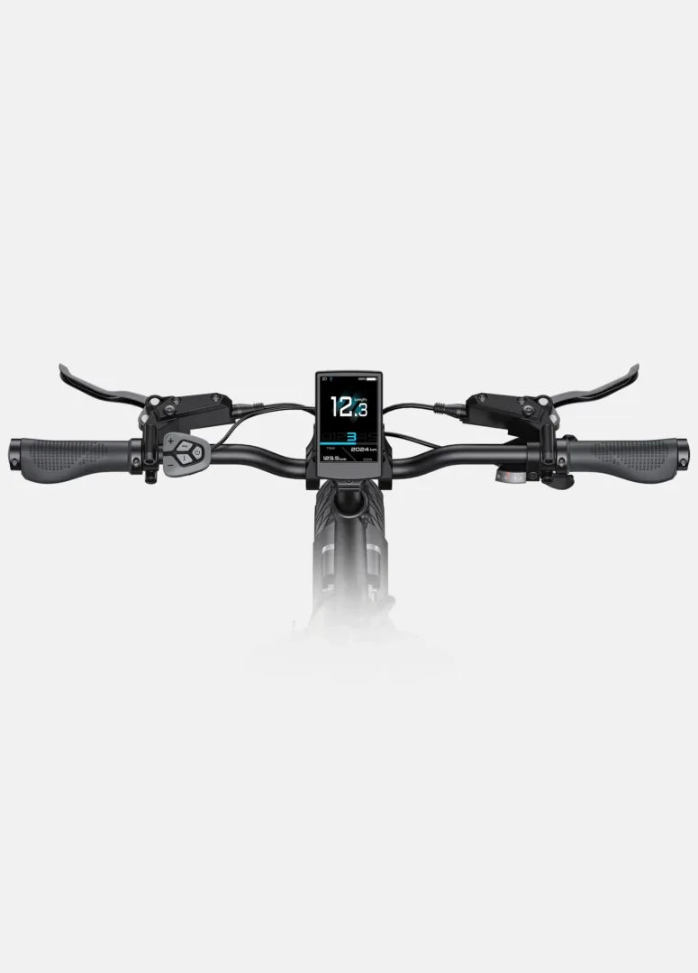ENGWE L20 3.0 Pro