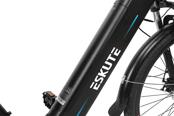 Eskute Polluno Pro