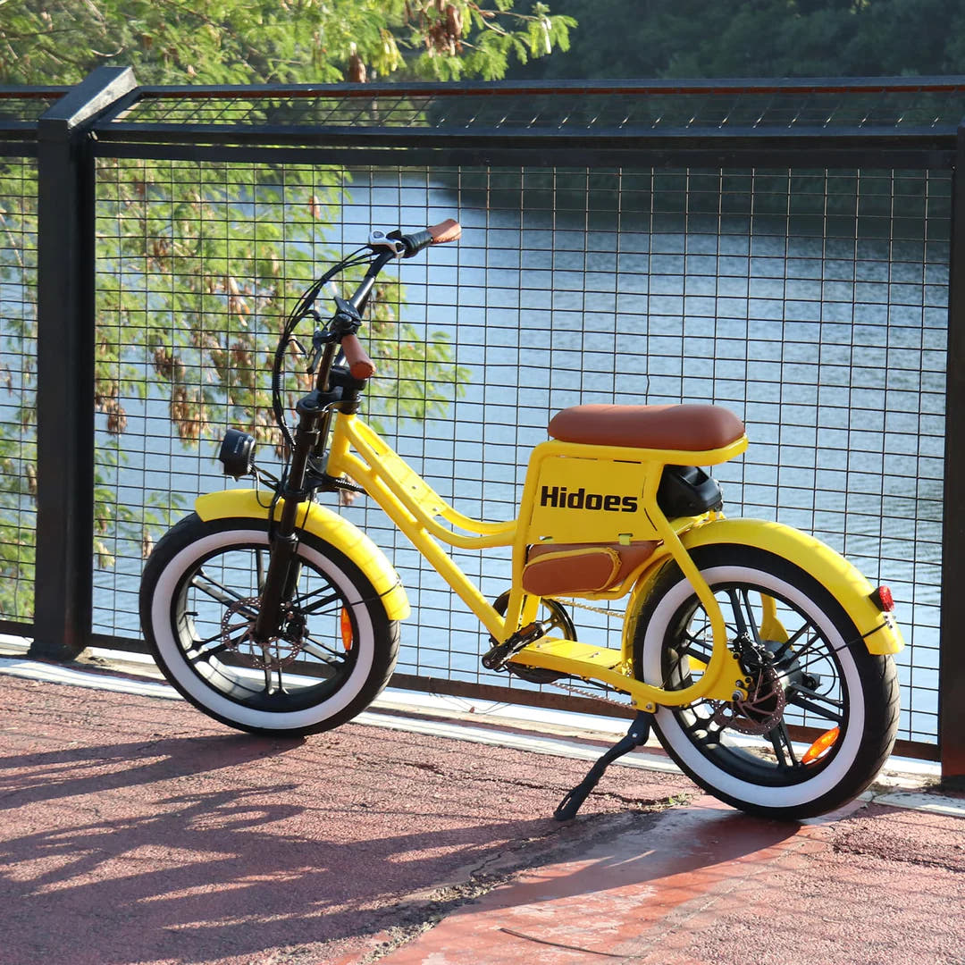 Hidoes C8 Fat Tyre E-Bike-bike by the lake