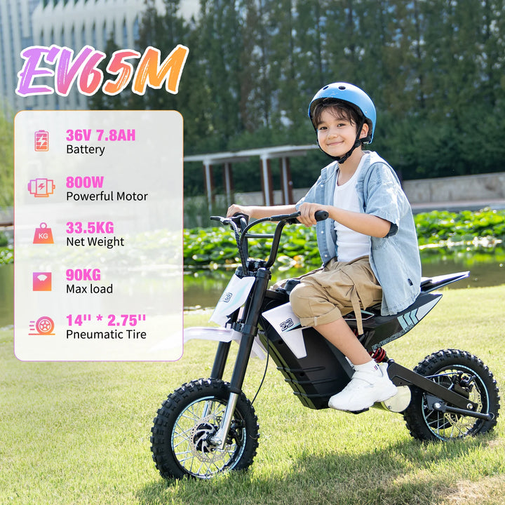 Evercross EV65M