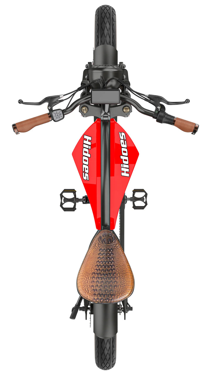 Hidoes B10 Fat Tyre E-Bike-aerial view