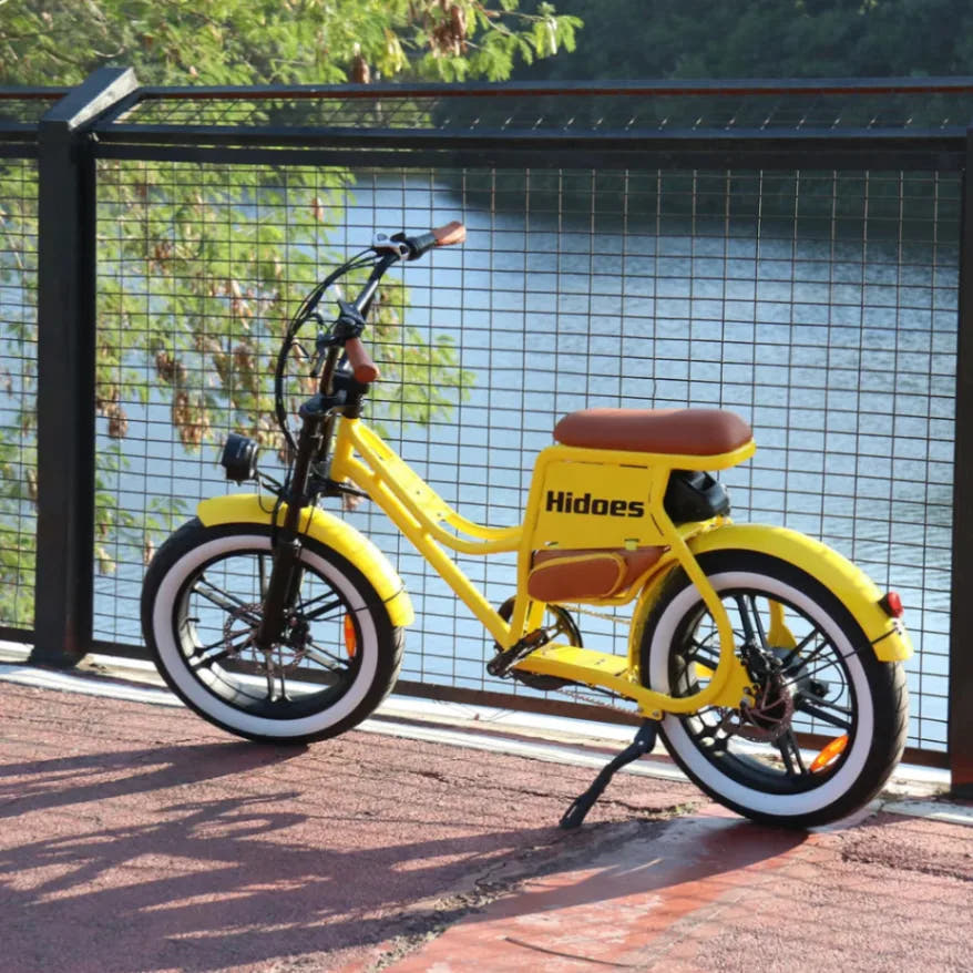 Hidoes C8 Fat Tyre E-Bike-bike by the lake
