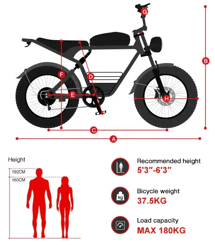 SAMEBIKE M20-III