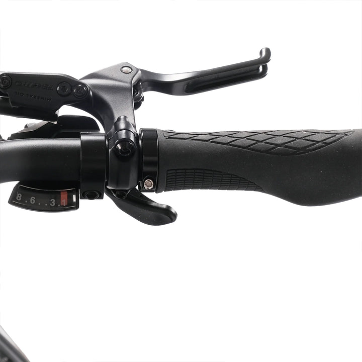 HYGGE VIRUM STEP E-Bike-handle view