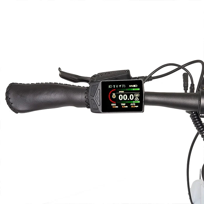 HYGGE LOSSØ City E-Bike-lcd display