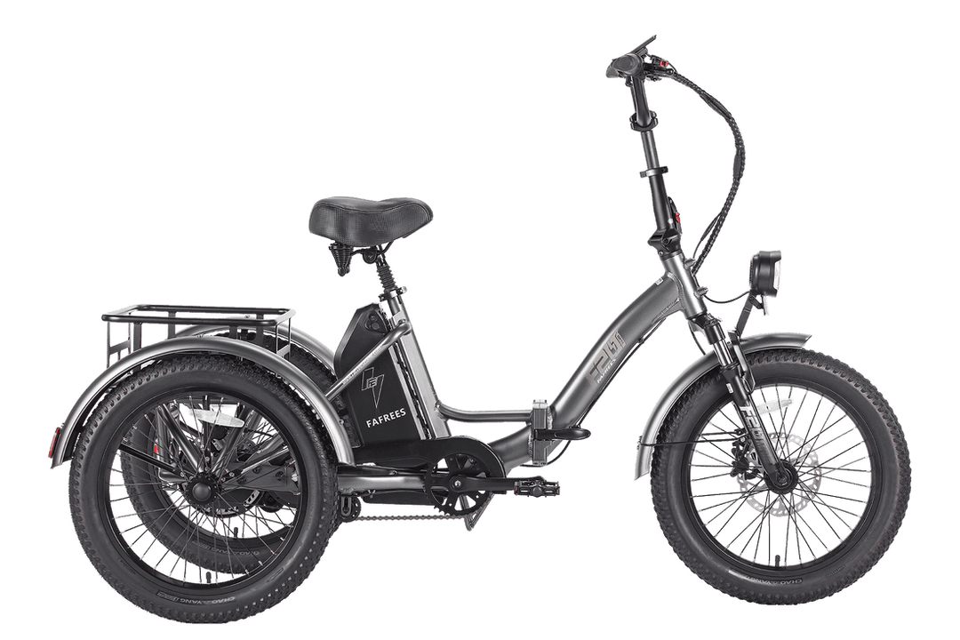 Fafrees F20 MATE Fat Tyre E-Bike in Gunmetal Black-standard combo