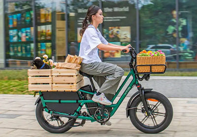 delivery / Cargo e-Bikes