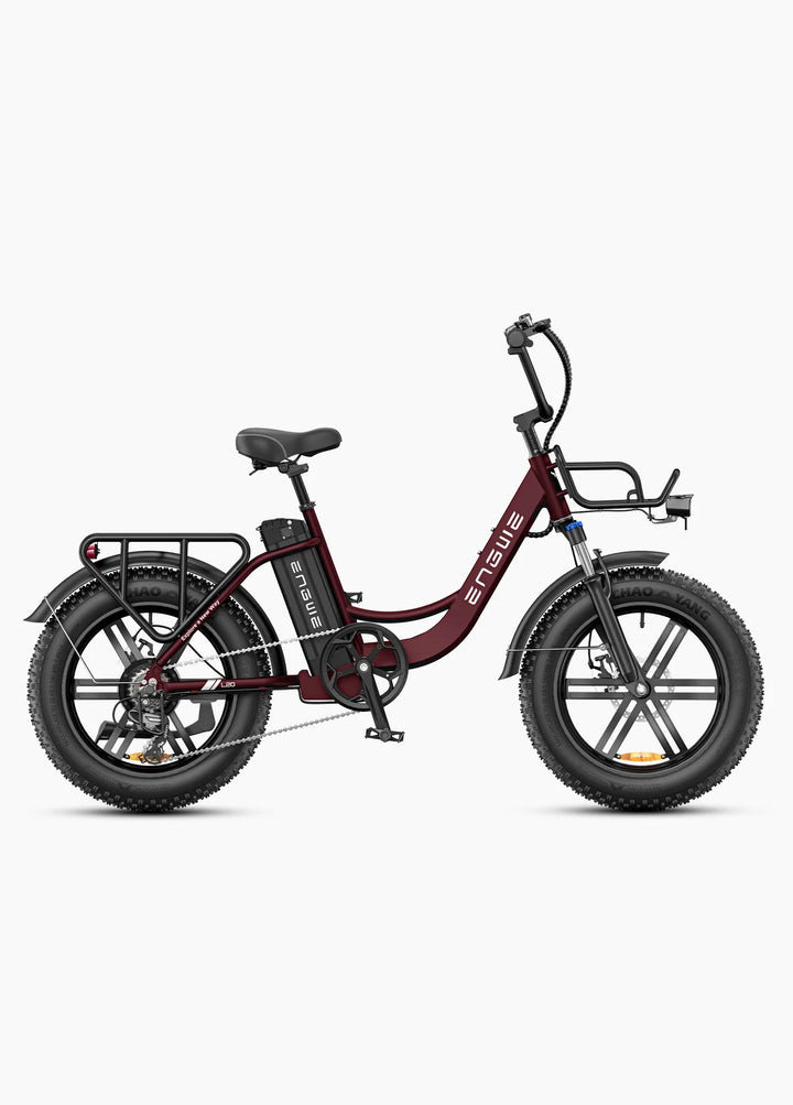 Engwe L20 Boost City E-Bike- side view